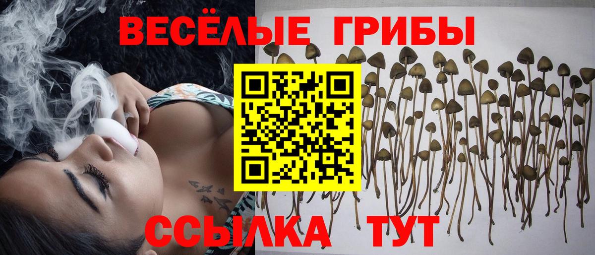 Ликино-Дулёво  Галлюциногенные грибы Cubensis  Галлюциногенные грибы GOLDEN TEACHER  Вход с VPN 